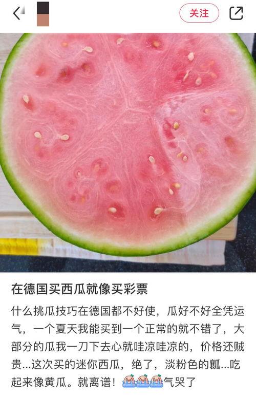 外国吃瓜官网