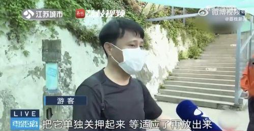 网红吃瓜兄妹是谁啊