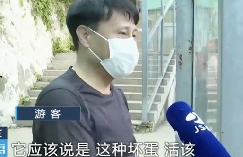 网红吃瓜兄妹是谁啊