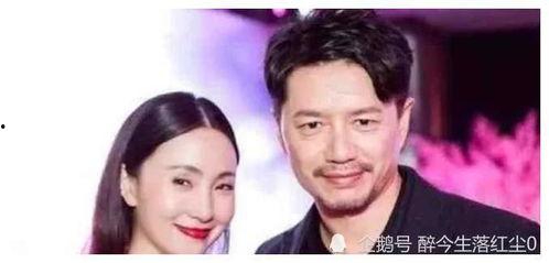 娱乐圈吃瓜爆料网剧有哪些