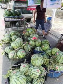 兴化网红吃瓜事件,一场网络狂欢背后的真相揭秘