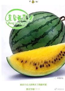 吃瓜网全球回家最新
